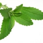 Cómo usar las hojas de stevia como alternativa al azúcar